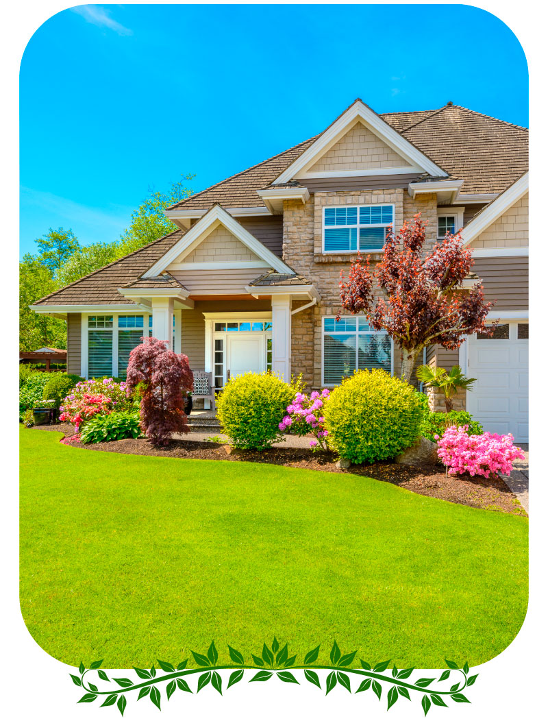 Ifm Tree IFM Flores Landscaping & Tree Service Inc